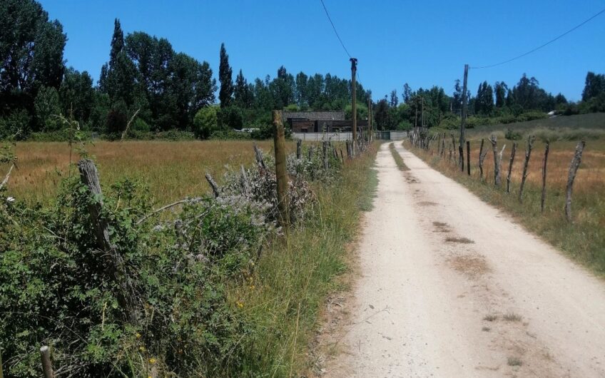 Venta de sitios Hualqui.