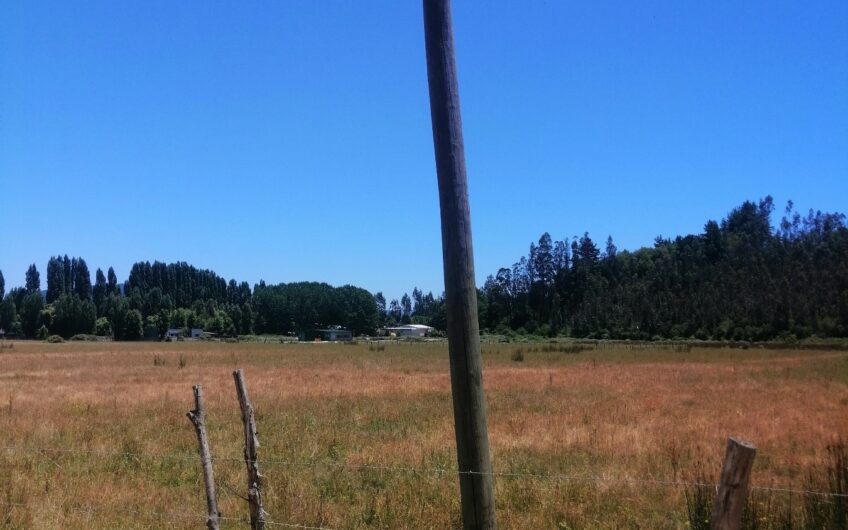 Venta de sitios Hualqui.