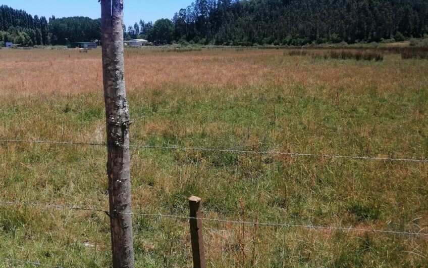 Venta de sitios Hualqui.