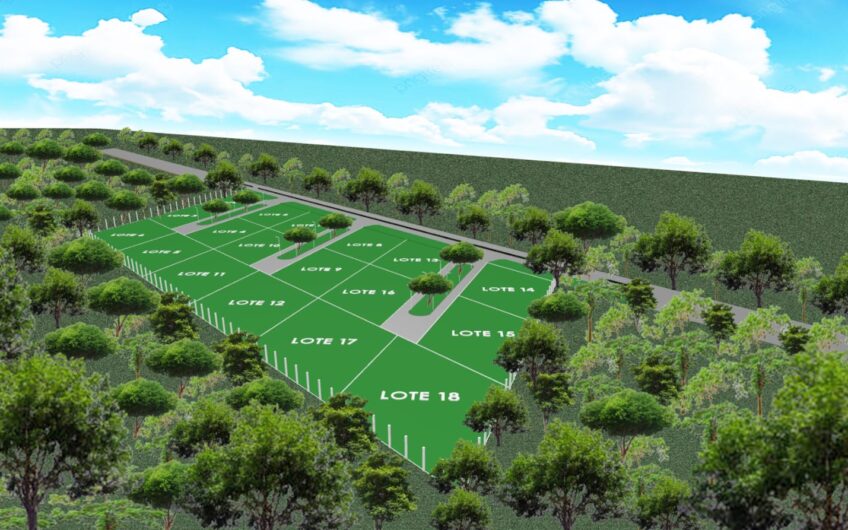 Venta de lotes camino a Santa Juana